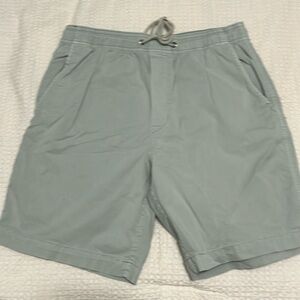 American Eagle Men’s Mint Trekker Shorts in Size XS